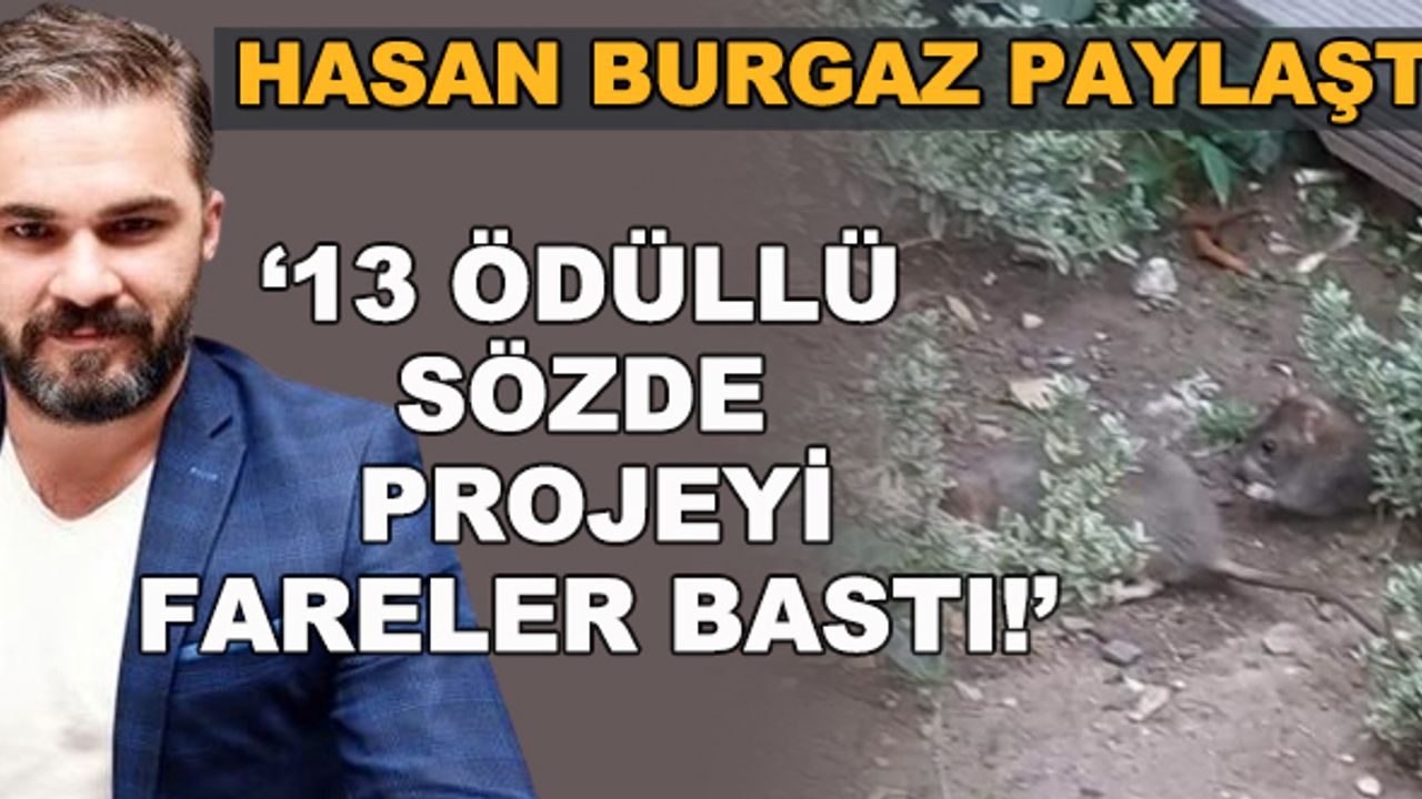 Hasan Burgaz paylaştı... "13 ödüllü sözde projeyi fareler bastı!"