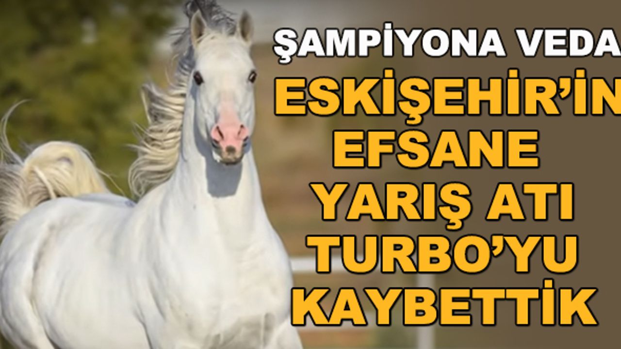 Eskişehir'in efsane yarış atı Turbo'yu kaybettik... Şampiyona veda...