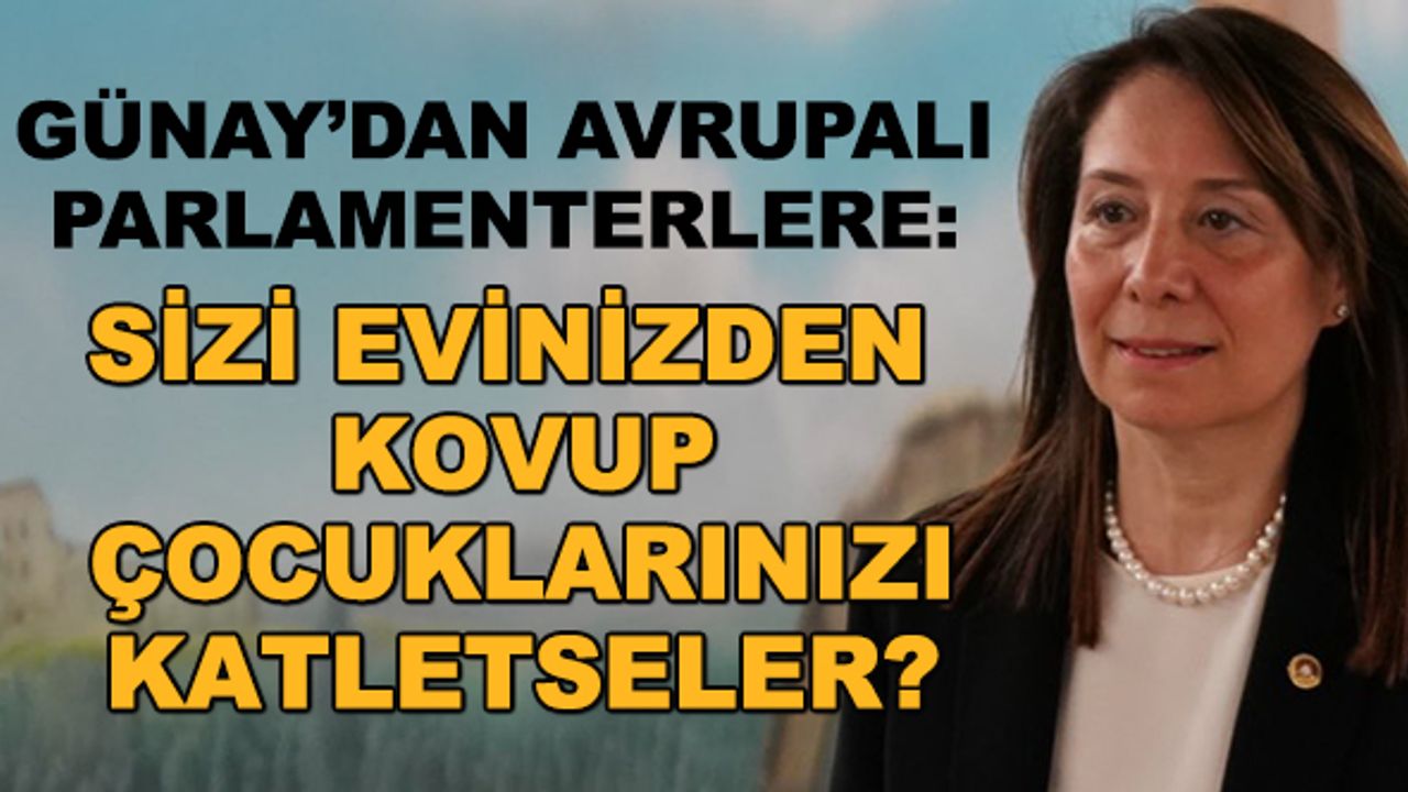 Günay'dan Avrupalı parlamenterlere:  Sizi evinizden kovup, çocuklarınızı katletseler?