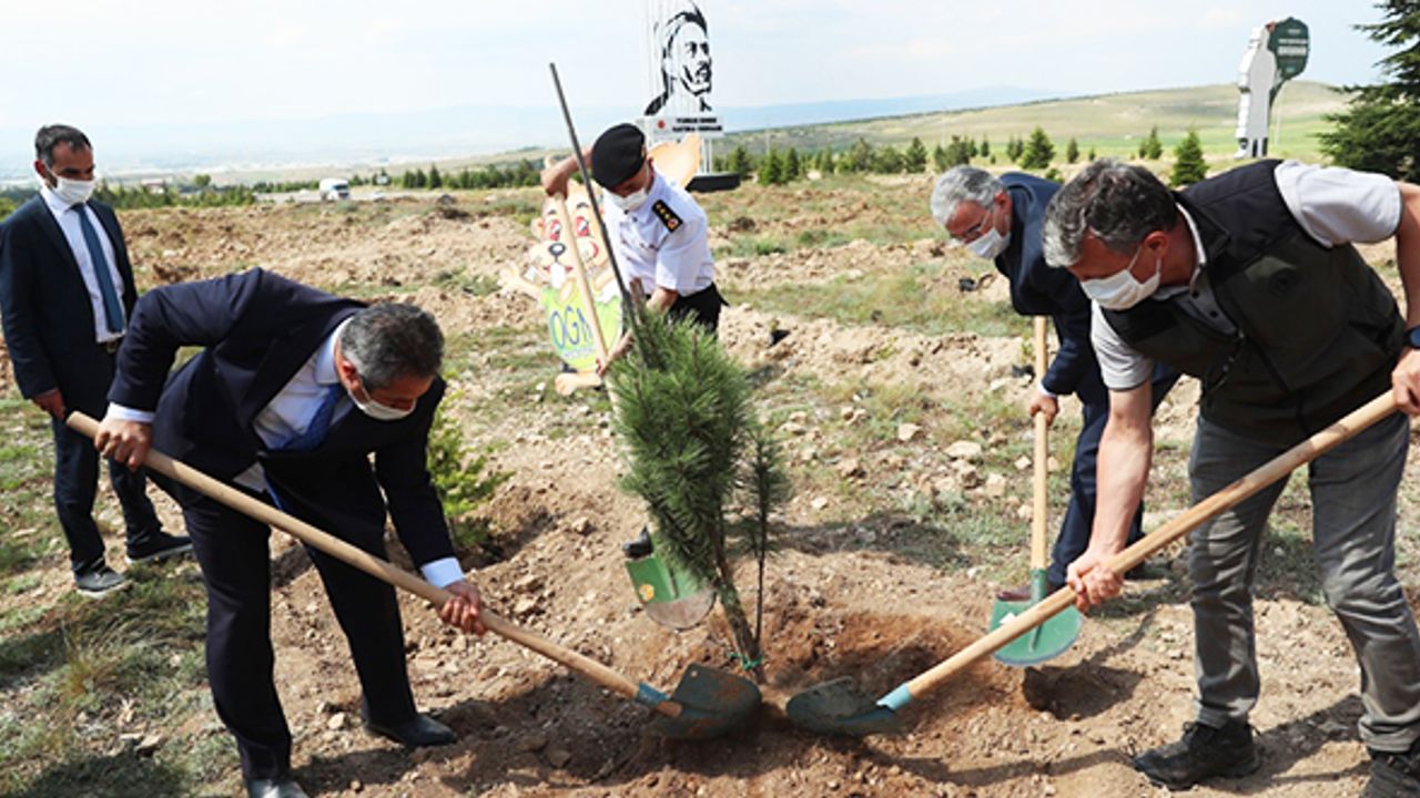 Yunus Emre için 5 bin fidan