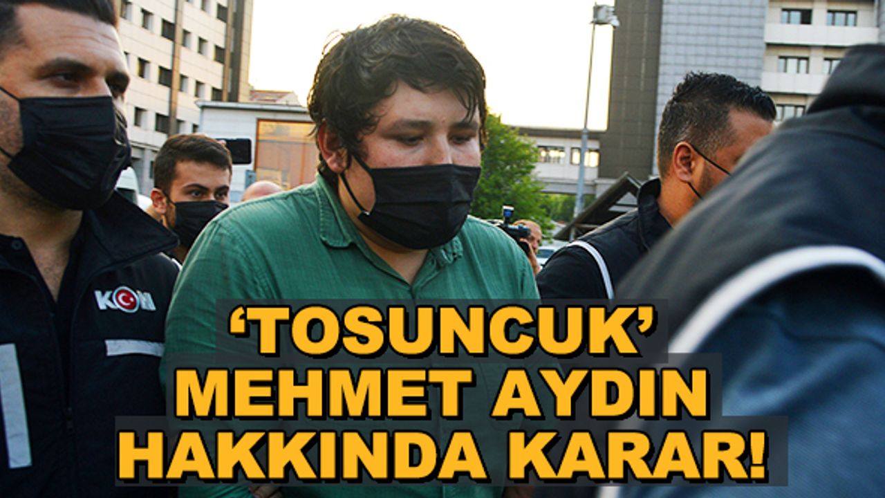 'Tosuncuk' Mehmet Aydın hakkında karar! İşte emniyet ve savcılıktaki ifadeleri