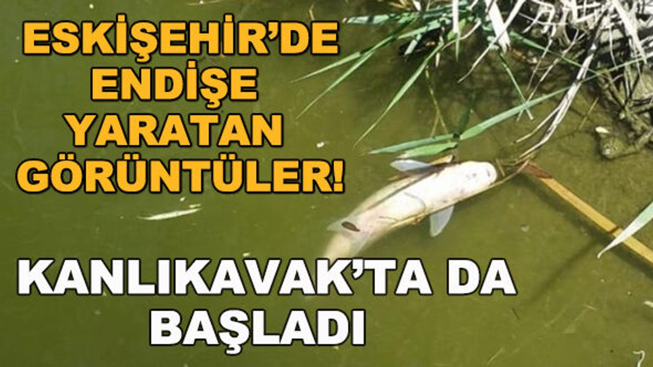 Eskişehir'de endişe yaratan görüntüler! Kanlıkavak'ta da başladı