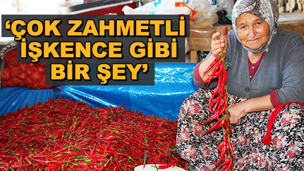 Bilecik'te 152 yıldır aynı tohumdan yapılıyor... 'Çok zahmetli, işkence gibi bir şey'