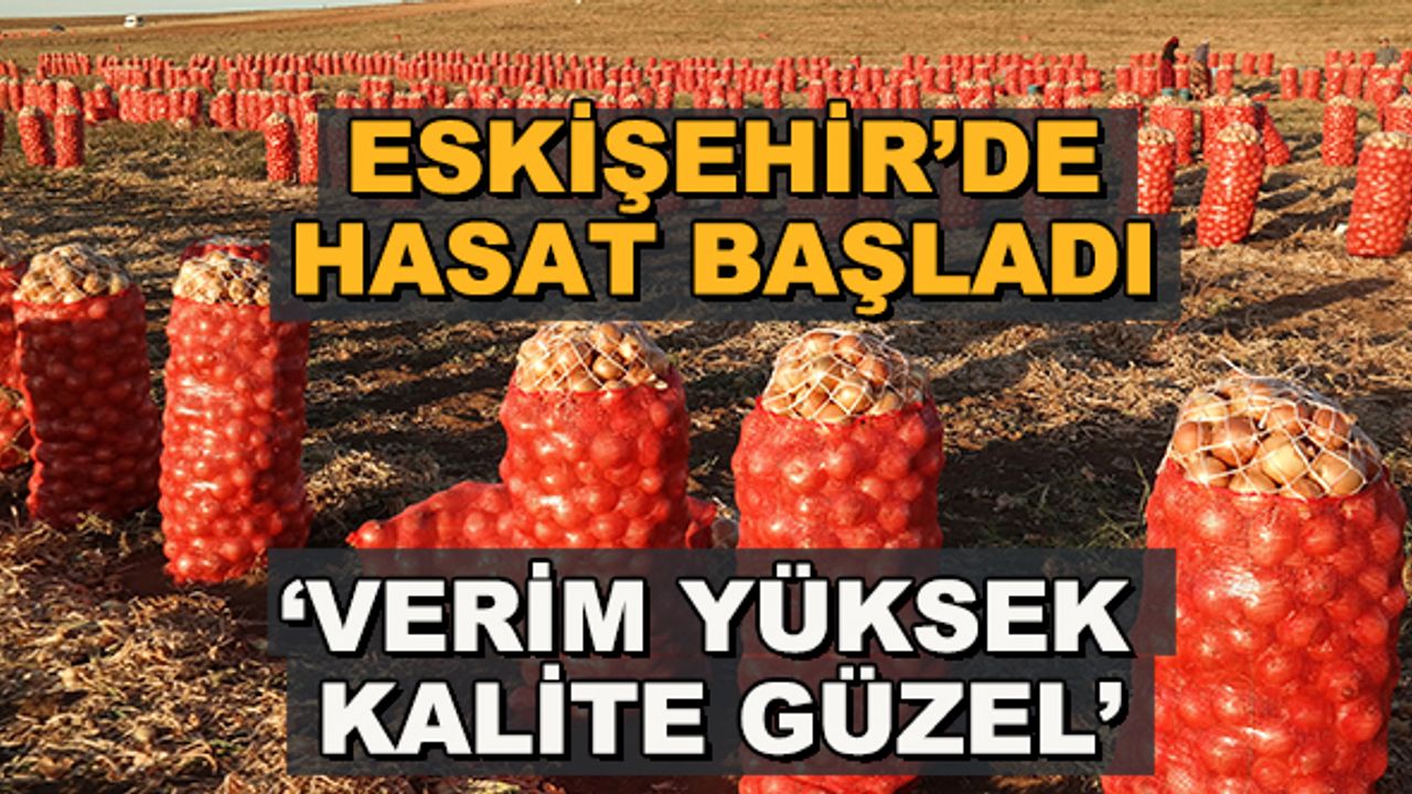 Eskişehir'de hasat başladı... 'Verim yüksek, kalite güzel'