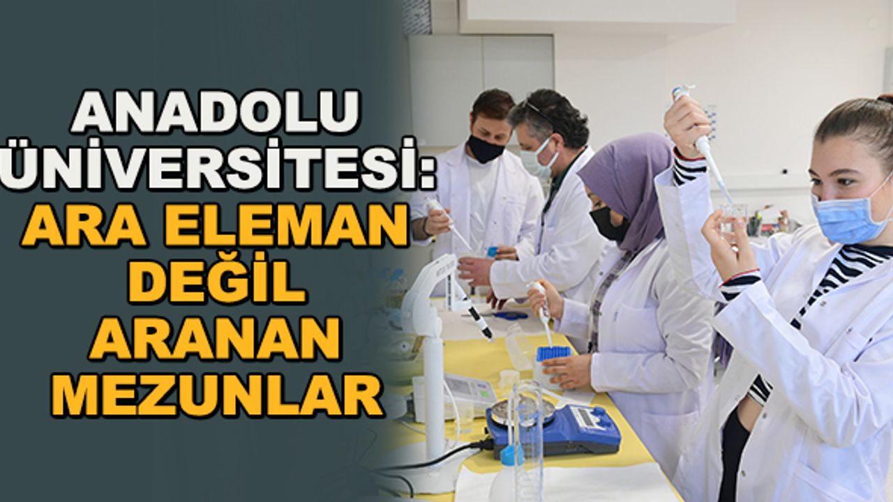 Anadolu Üniversitesi: Ara eleman değil aranan mezunlar