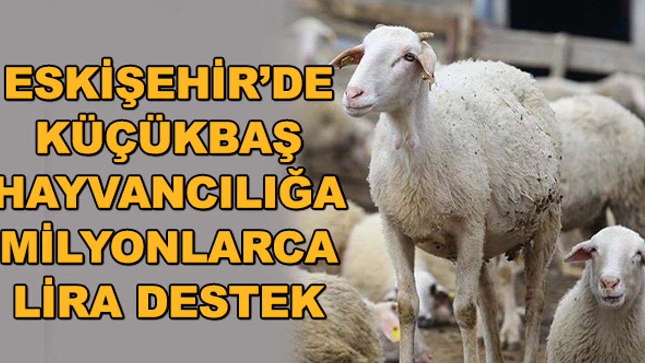Eskişehir'de küçükbaş hayvancılığa milyonlarca lira destek