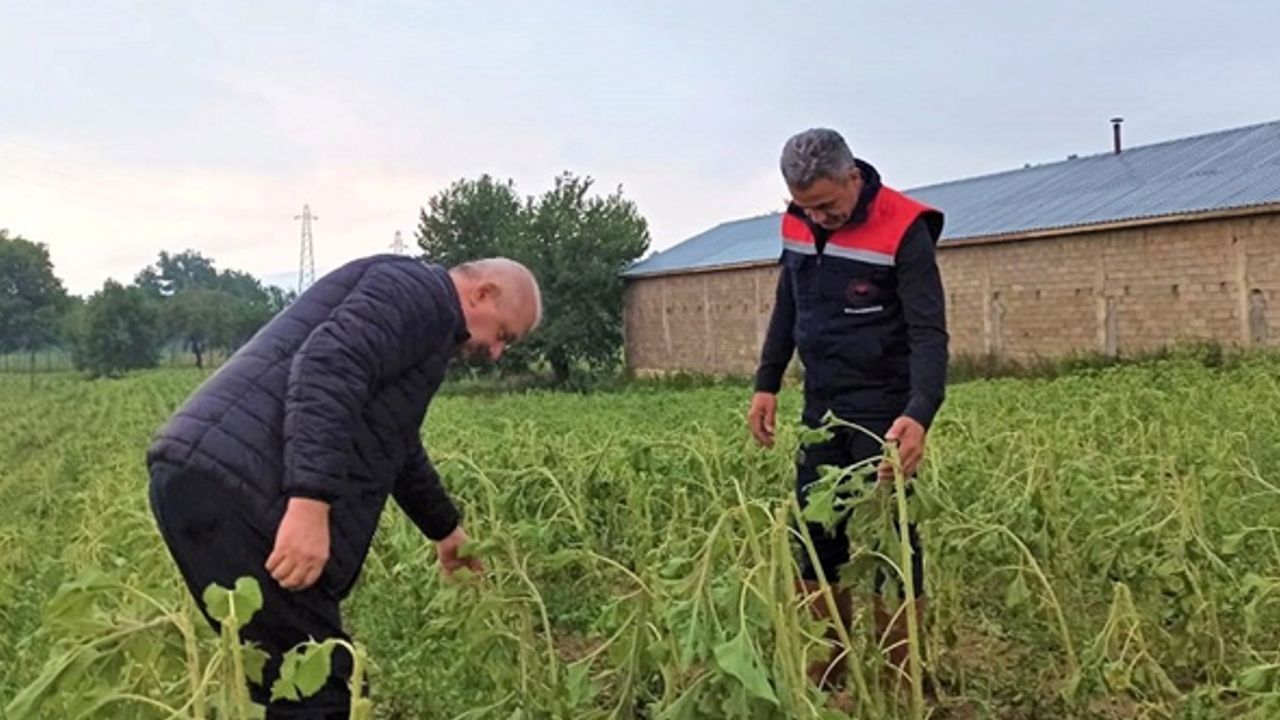 Bilecik'te hasar tespit çalışmaları başladı
