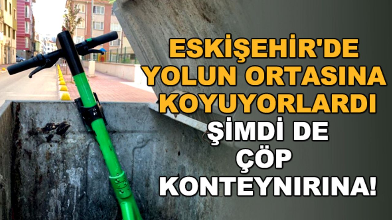 Eskişehir'de yolun ortasına koyuyorlardı... Şimdi de çöp konteynırına!