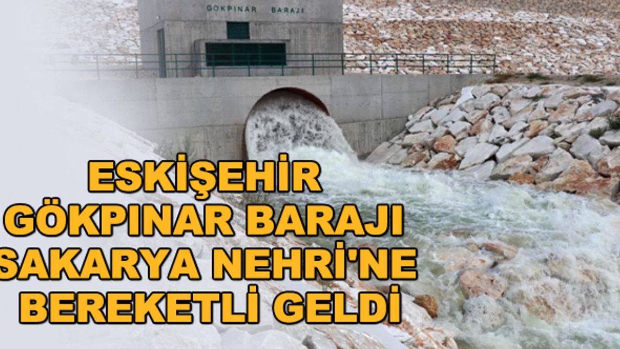 Eskişehir Gökpınar Barajı Sakarya Nehri'ne bereketli geldi