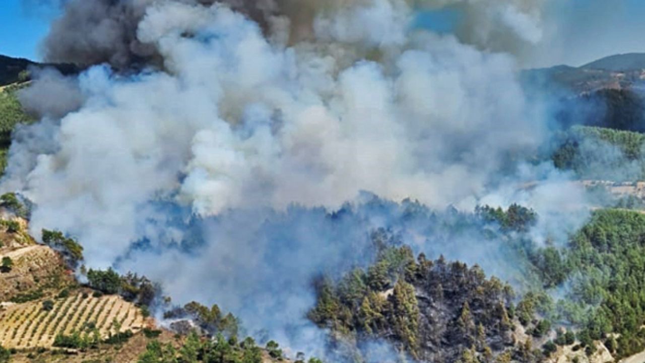 Muğla - Denizli il sınırında orman yangını!