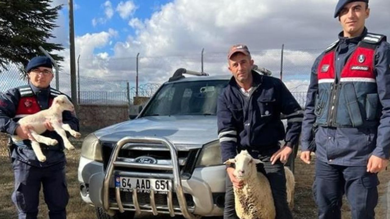 Eskişehir'de anız yangını... Kuzusuyla birlikte kurtarıldı