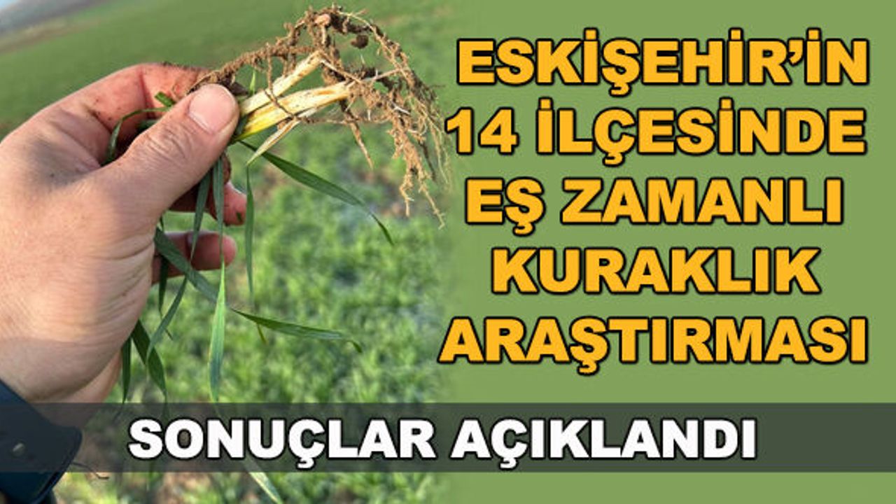 Eskişehir'in 14 ilçesinde eş zamanlı kuraklık araştırması... Sonuçlar açıklandı