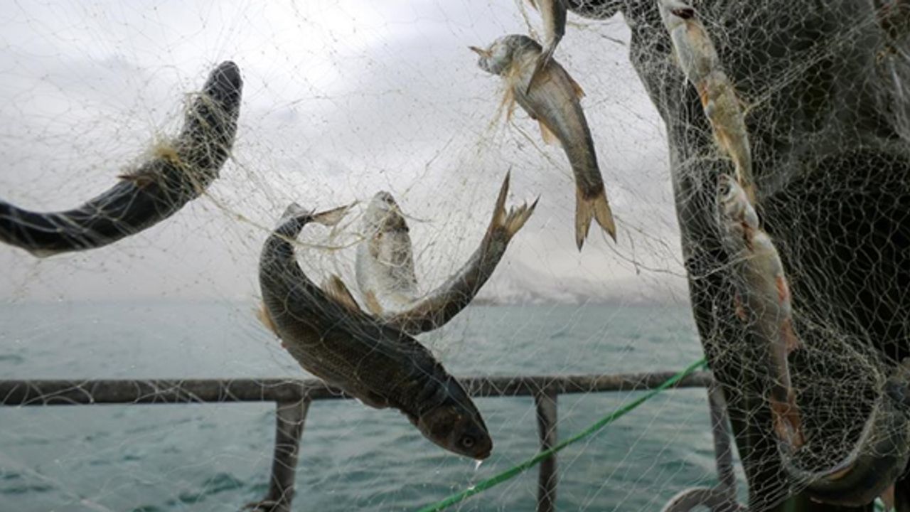 Küçük ölçekli balıkçılara destek ödemeleri artırıldı