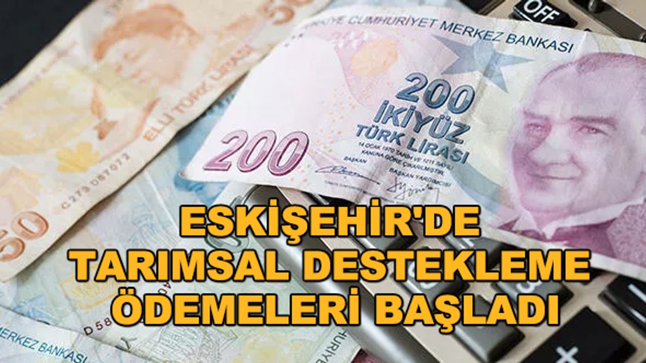 Eskişehir'de tarımsal destekleme ödemeleri başladı