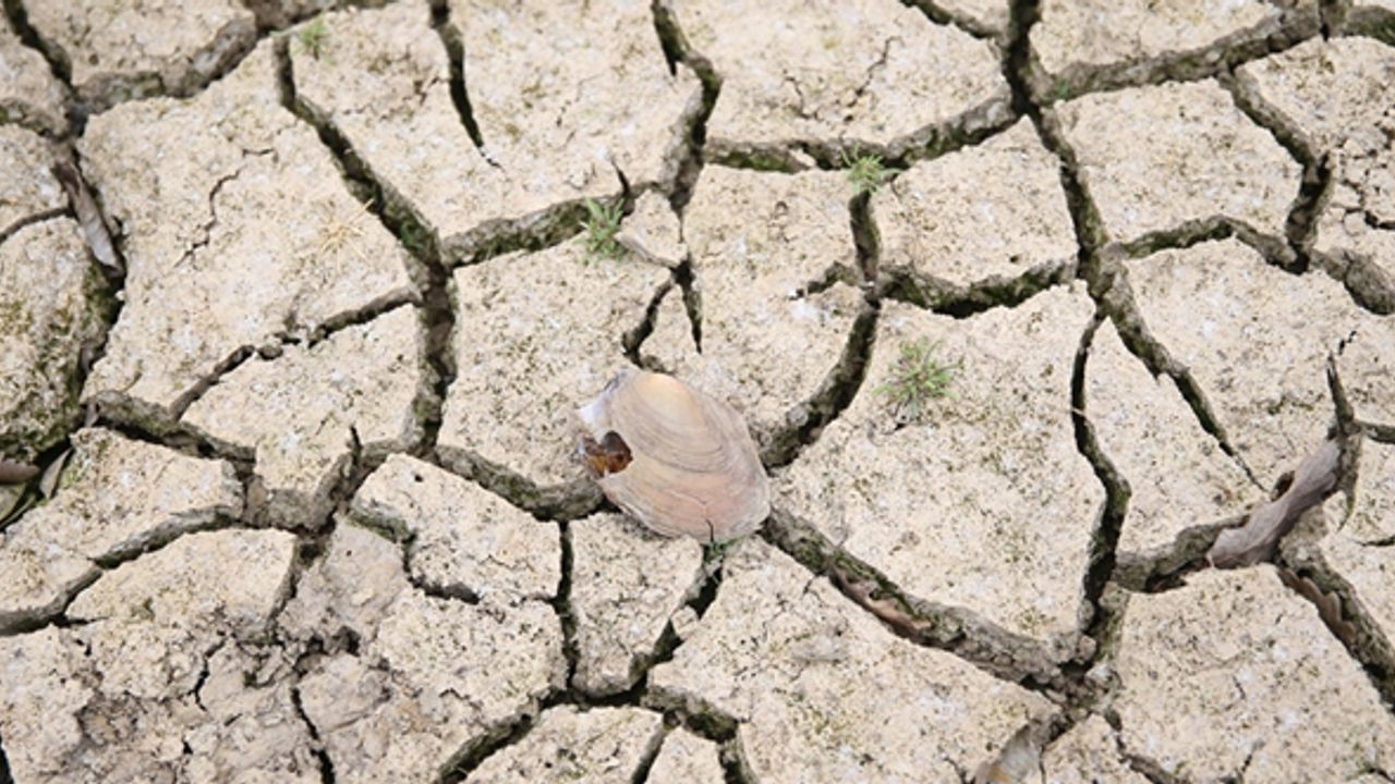 Korkutan kuraklık gerçeği... Kuraklık tehlikesine karşı neler yapılabilir?