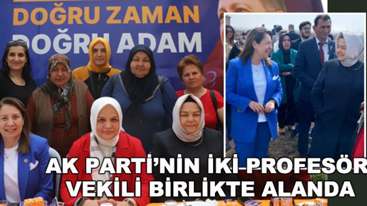 AK Parti'nin iki profesör vekili birlikte alanda