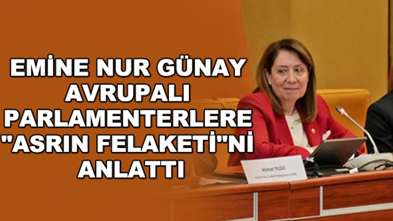 Emine Nur Günay Avrupalı parlamenterlere "asrın felaketi"ni anlattı