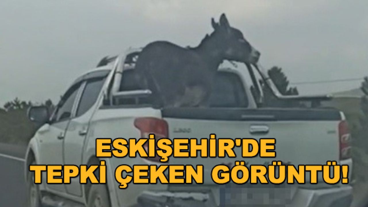 Eskişehir'de tepki çeken görüntü!