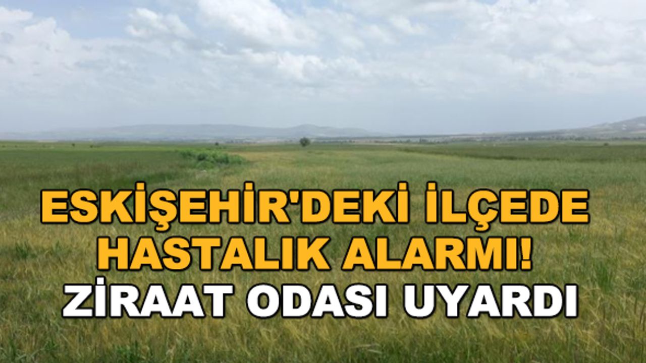 Eskişehir'deki ilçede hastalık alarmı! Ziraat Odası uyardı