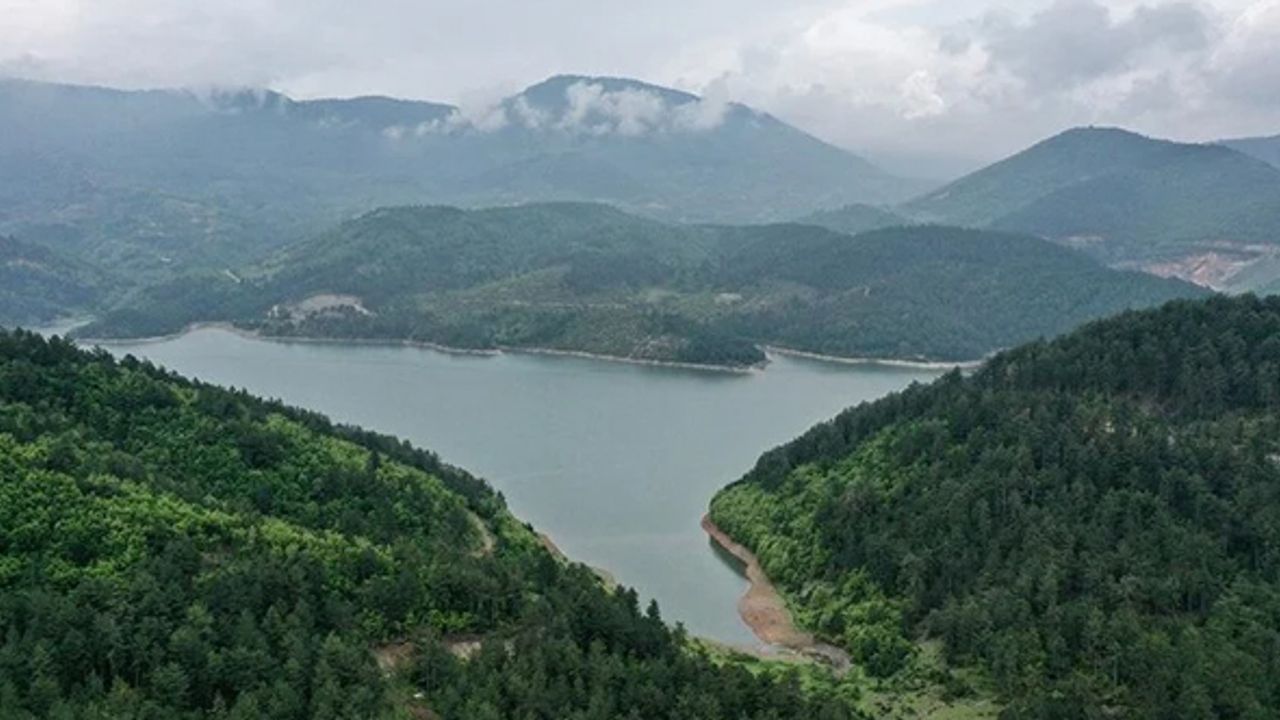 Kışı kurak geçiren Bursa yağan yağmurlarla nefes aldı
