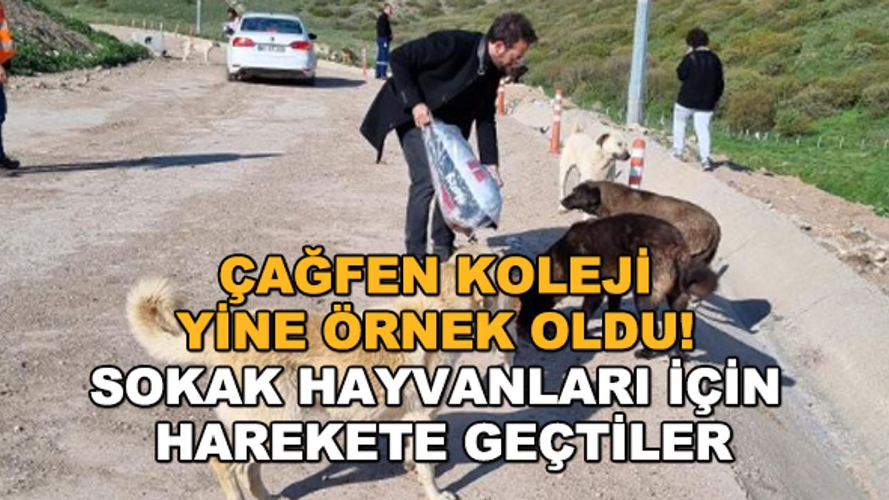Çağfen Koleji yine örnek oldu! Sokak hayvanları için harekete geçtiler
