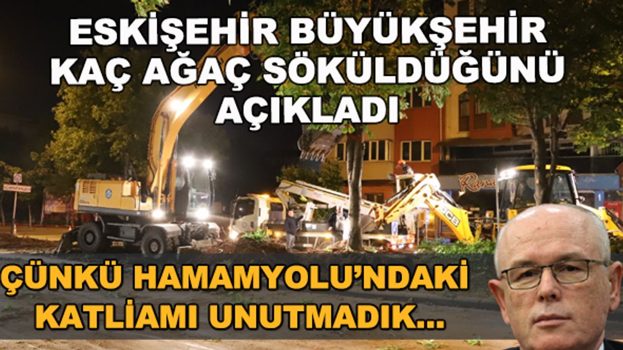 Eskişehir Büyükşehir kaç ağaç söküldüğünü açıkladı... Çünkü Hamamyolu'ndaki katliamı unutmadık!