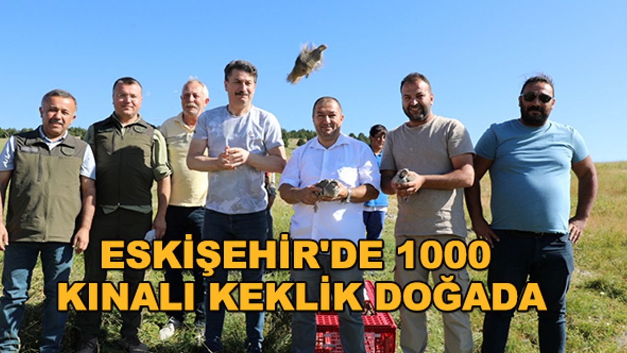 Eskişehir'de 1000 kınalı keklik doğada