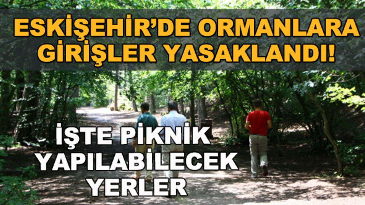 Eskişehir'de ormanlara girişler yasaklandı! Piknik yapılabilecek yerlerin listesi açıklandı