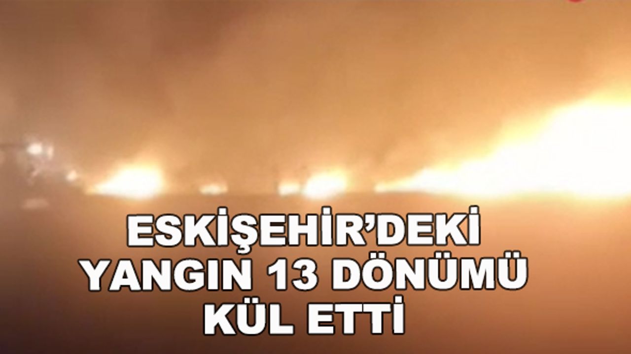 Eskişehir'deki yangın 13 dönümü kül etti