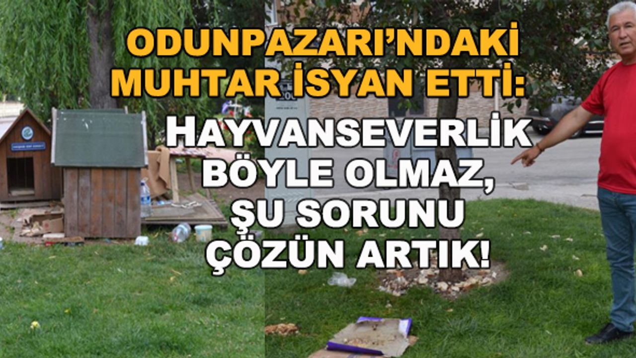 Odunpazarı'ndaki muhtar isyan etti: Hayvanseverlik böyle olmaz, şu sorunu çözün artık!