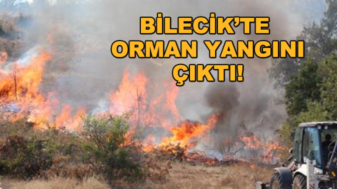 Bilecik'te orman yangını çıktı!