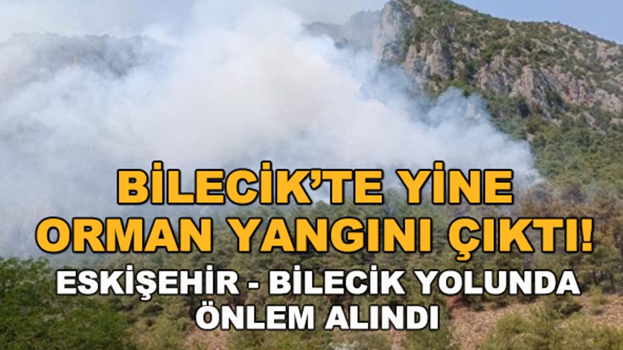 Bilecik'te yine orman yangını çıktı!