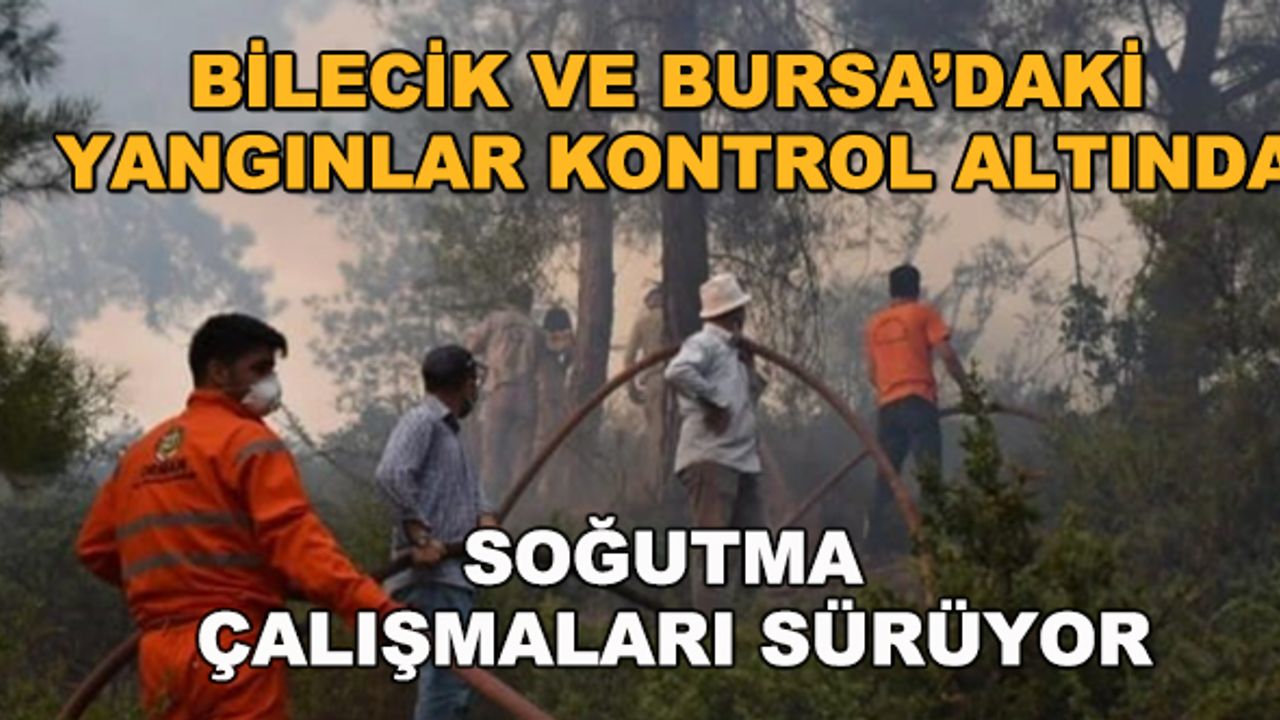 Bilecik ve Bursa'daki yangınlar kontrol altında... Soğutma çalışmaları sürüyor