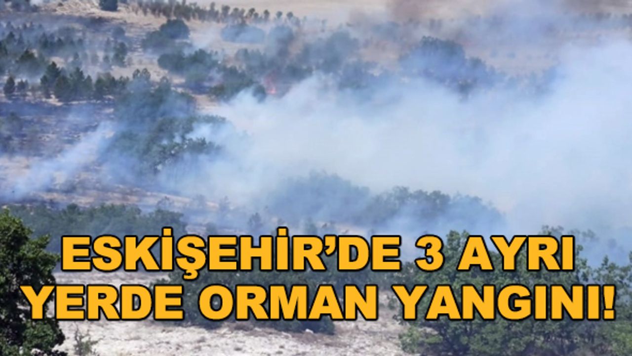 Eskişehir'de 3 ayrı yerde orman yangını!