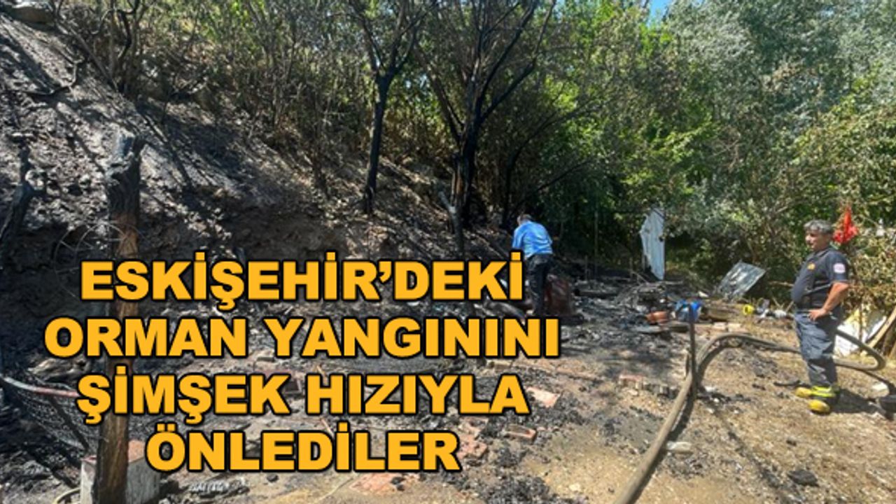 Eskişehir'deki orman yangınını şimşek hızında önlediler