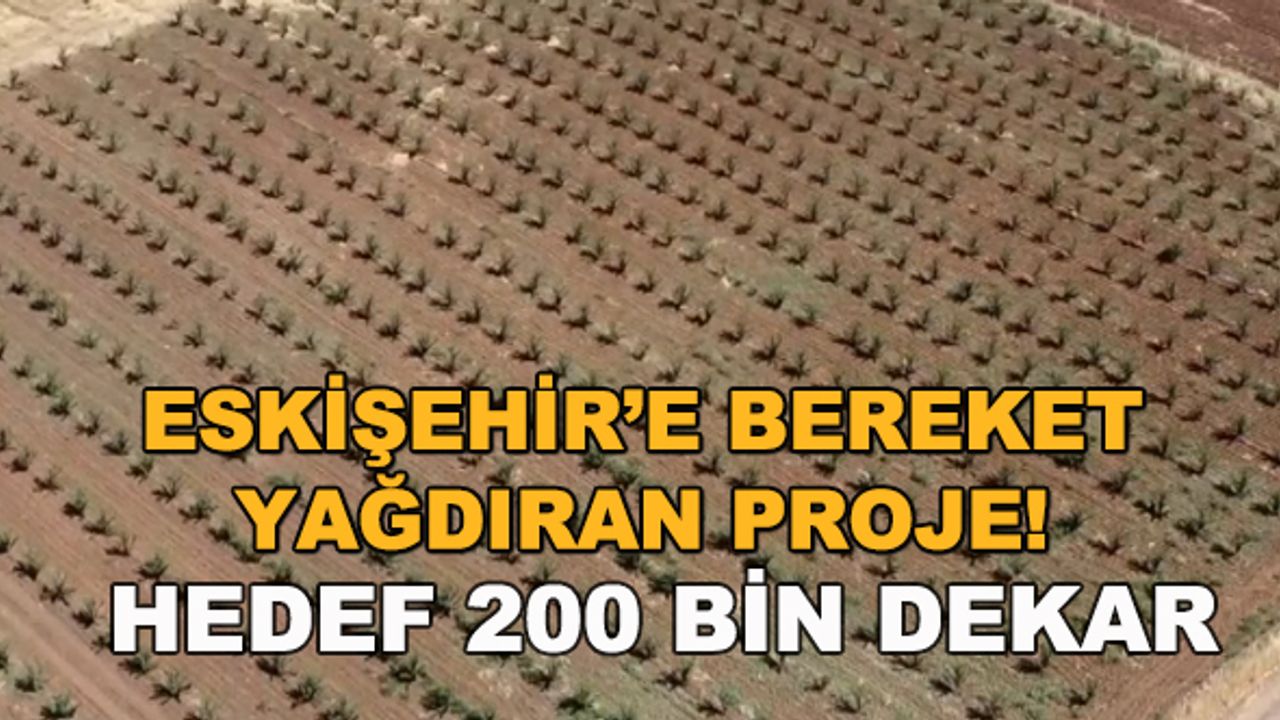 Eskişehir'e bereket yağdıran proje! Hedef 200 bin dekar