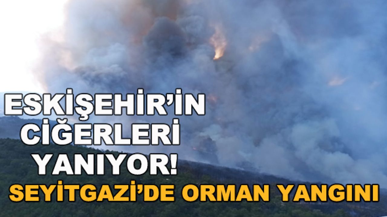 Eskişehir orman yangını son durum!