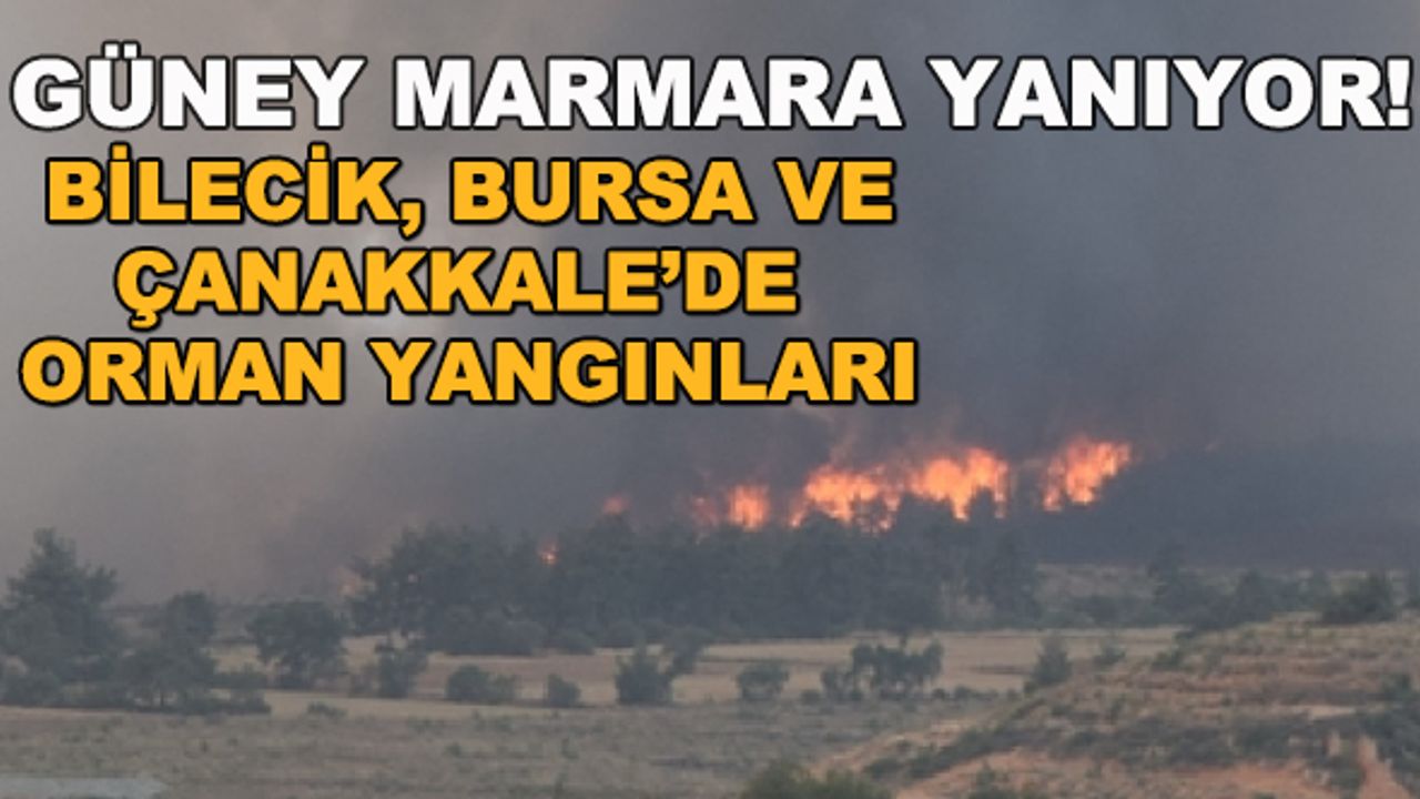 Güney Marmara yanıyor! Bilecik, Bursa ve Çanakkale'de orman yangınları