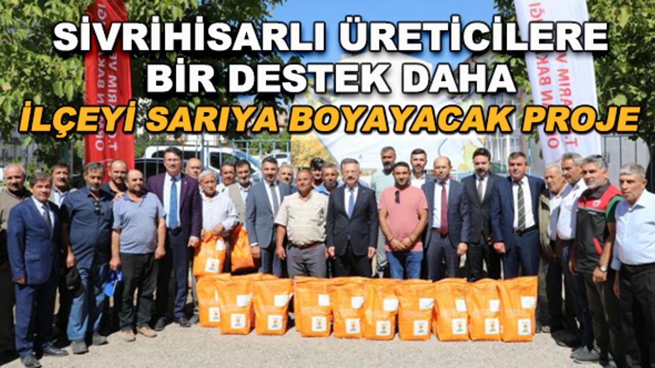 Sivrihisarlı üreticilere bir destek daha... İlçeyi sarıya boyayacak proje