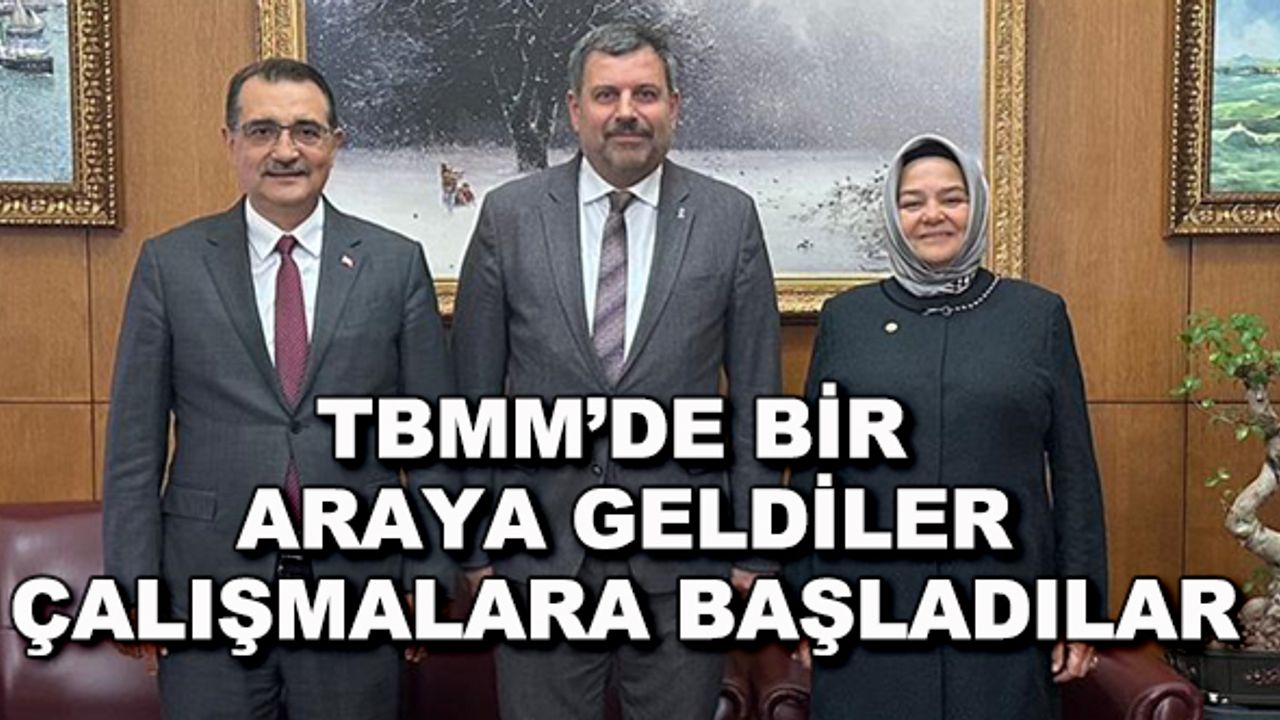 TBMM'de bir araya geldiler, çalışmalara başladılar