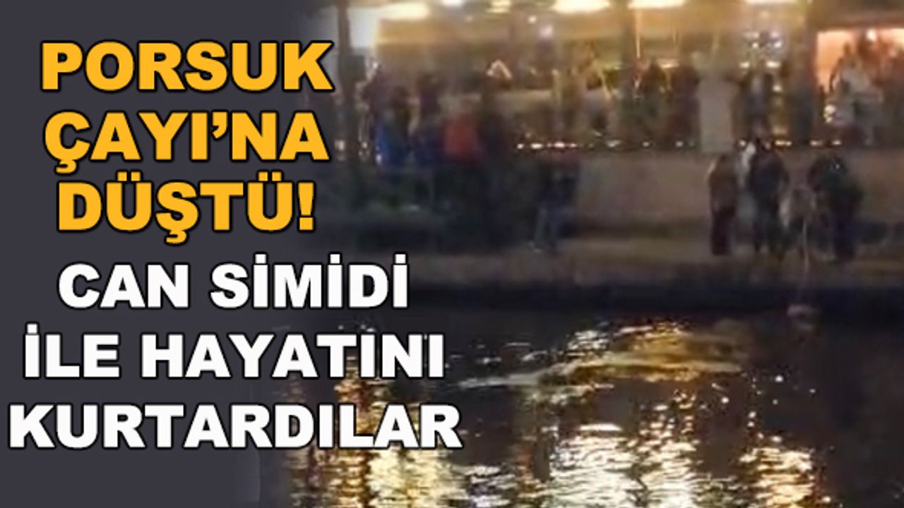Porsuk Çayı'na düştü! Can simidi ile hayatını kurtardılar
