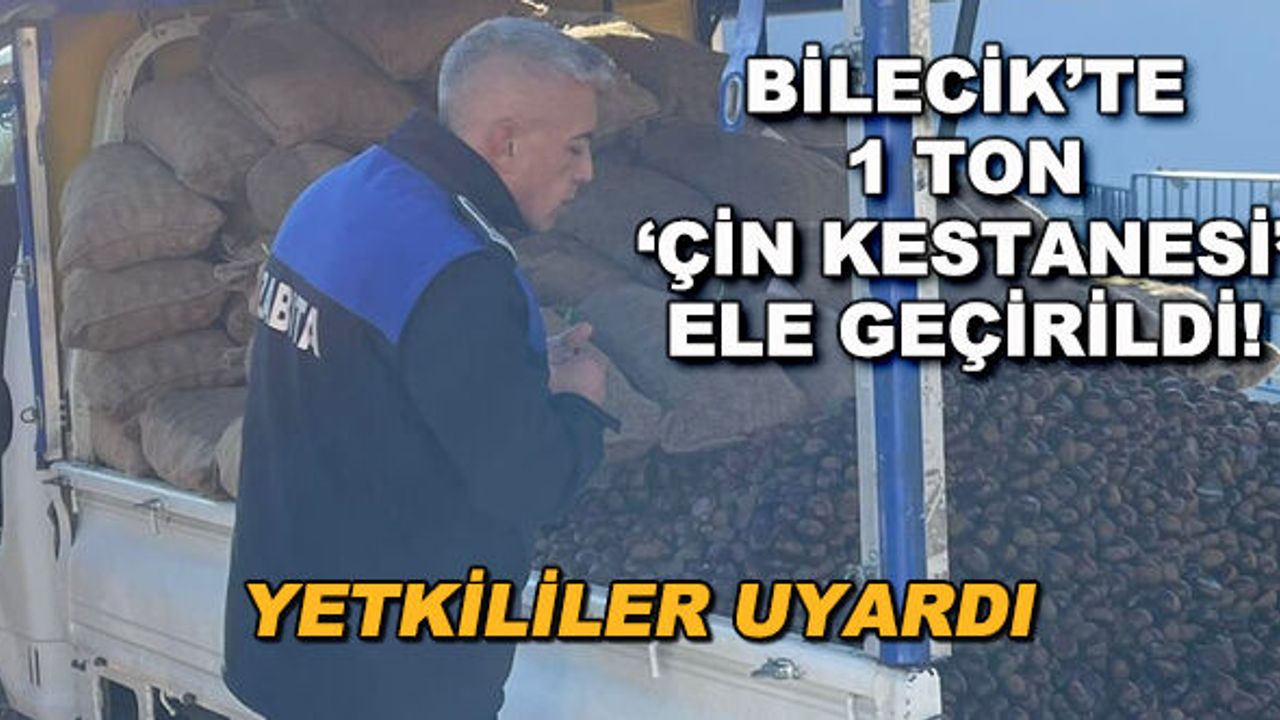Bilecik'te 1 ton 'Çin kestanesi' ele geçirildi! Yetkililer uyardı
