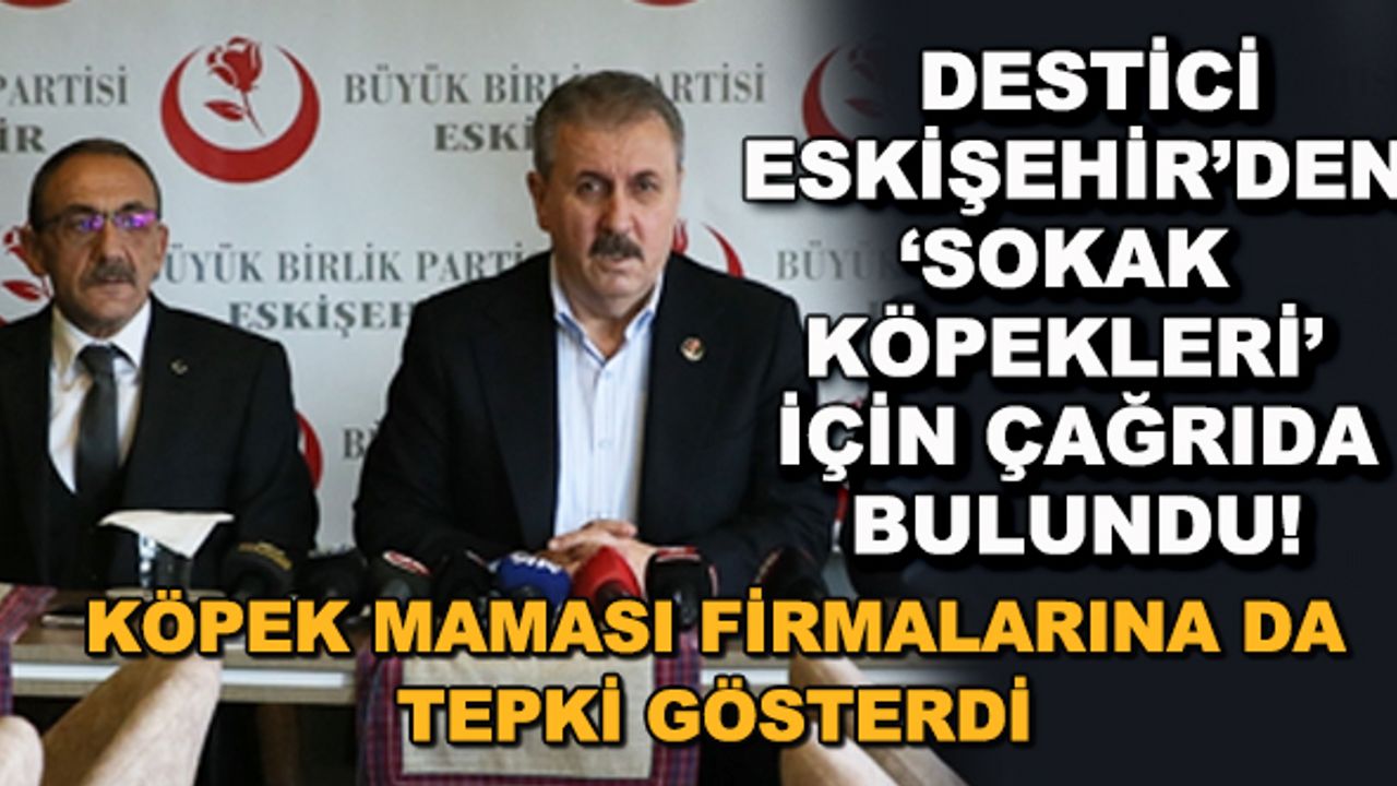 Destici Eskişehir'den 'sokak köpekleri' için çağrıda bulundu