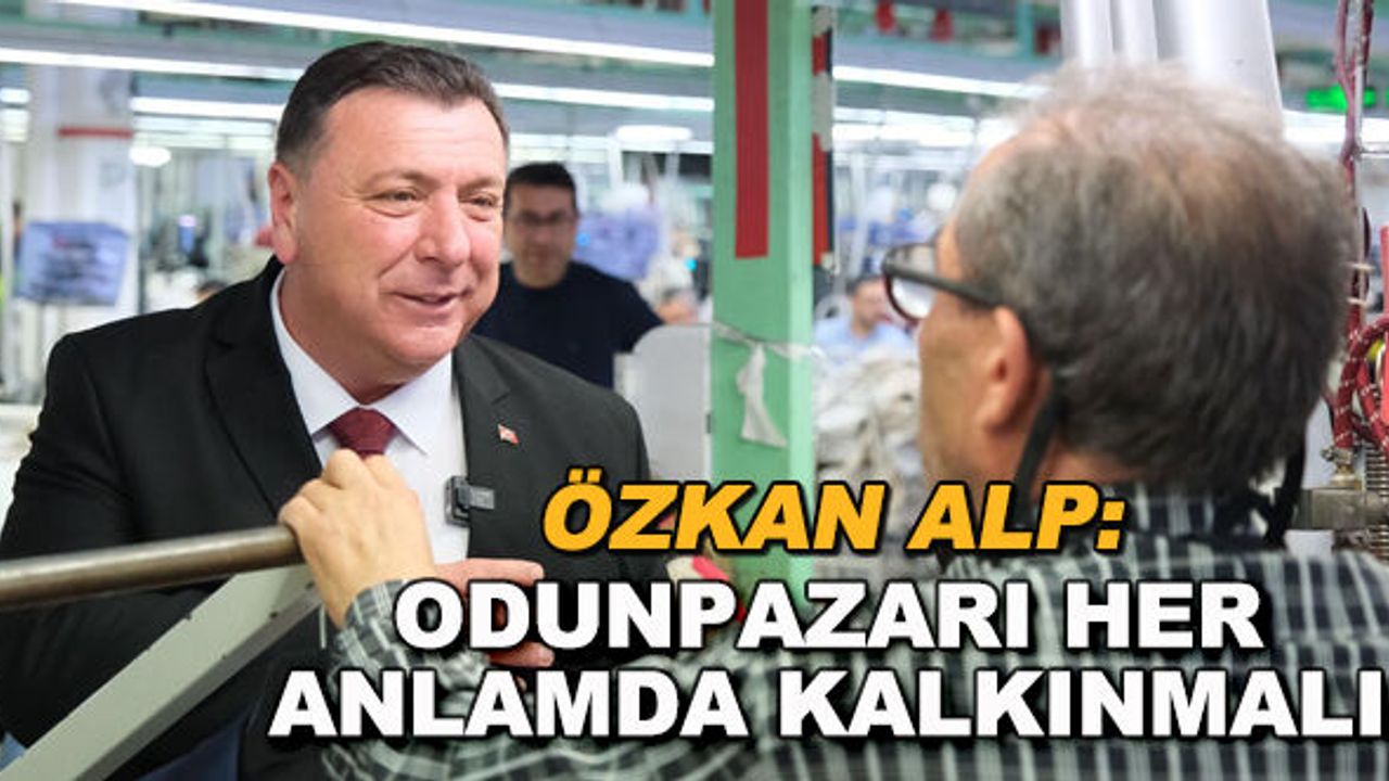Özkan Alp: Odunpazarı her anlamda kalkınmalı