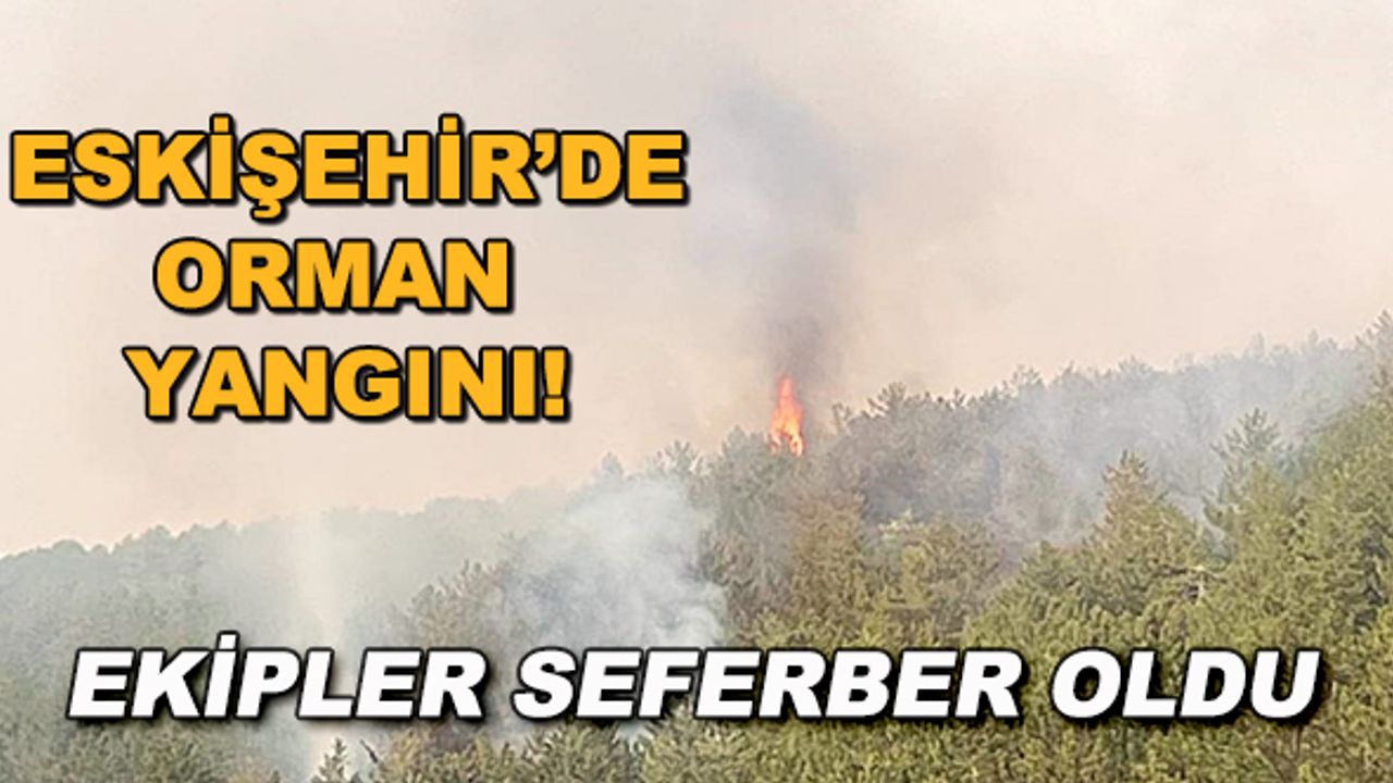 Eskişehir'de orman yangını! Ekipler seferber oldu