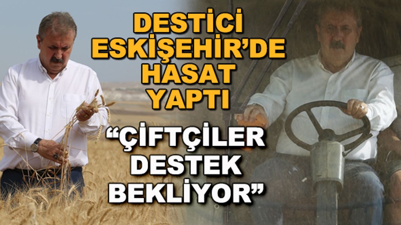 Destici Eskişehir'de hasat yaptı... "Çiftçiler destek bekliyor"