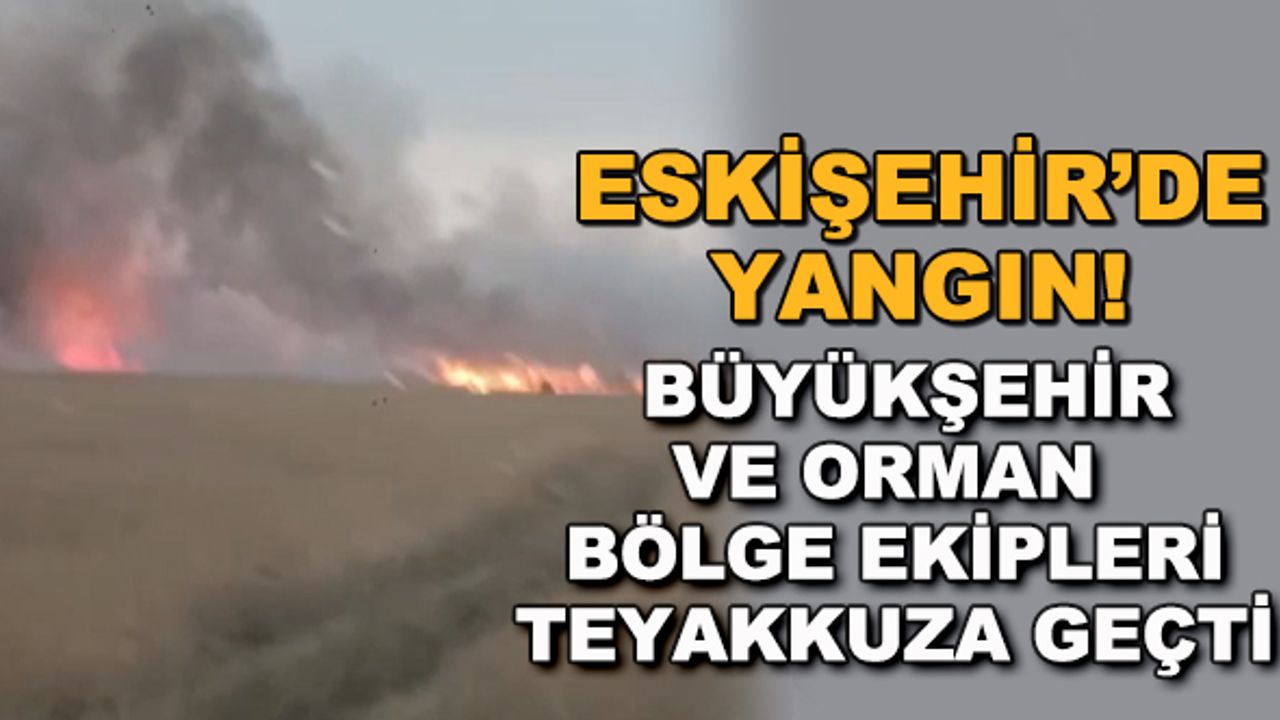 Eskişehir'de yangın! Büyükşehir ve Orman Bölge ekipleri teyakkuza geçti