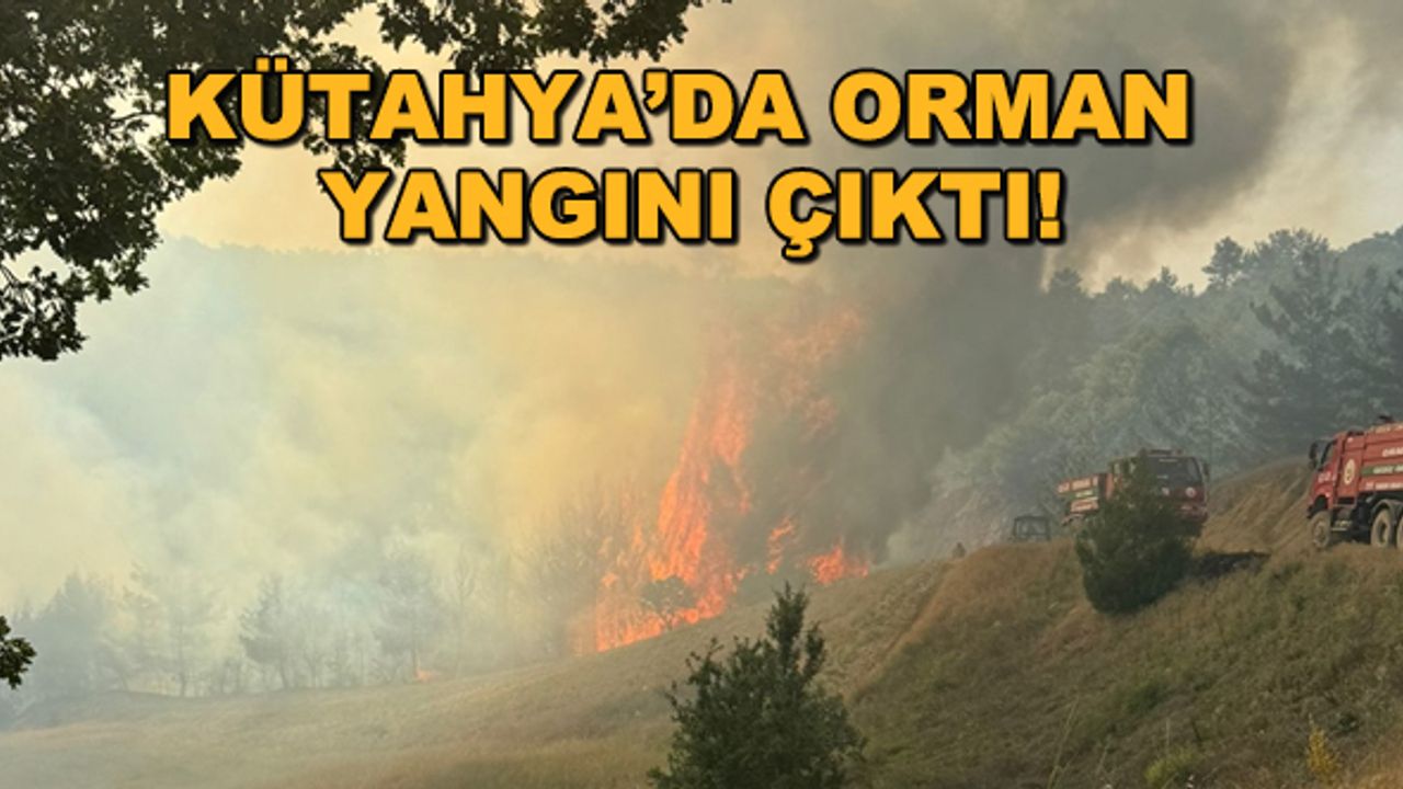 Kütahya'da orman yangını çıktı!