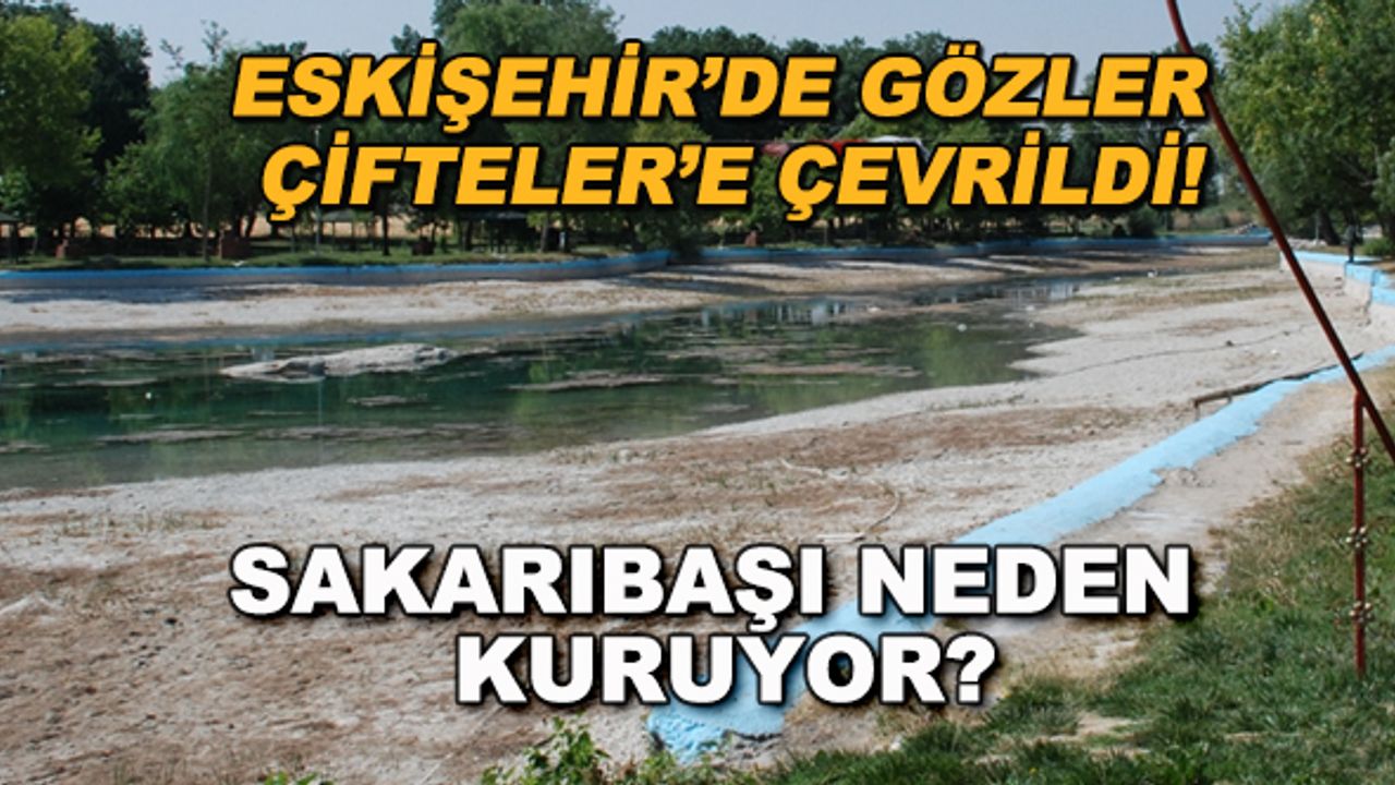 Eskişehir'de gözler Çifteler'e çevrildi! Sakarıbaşı neden kuruyor?