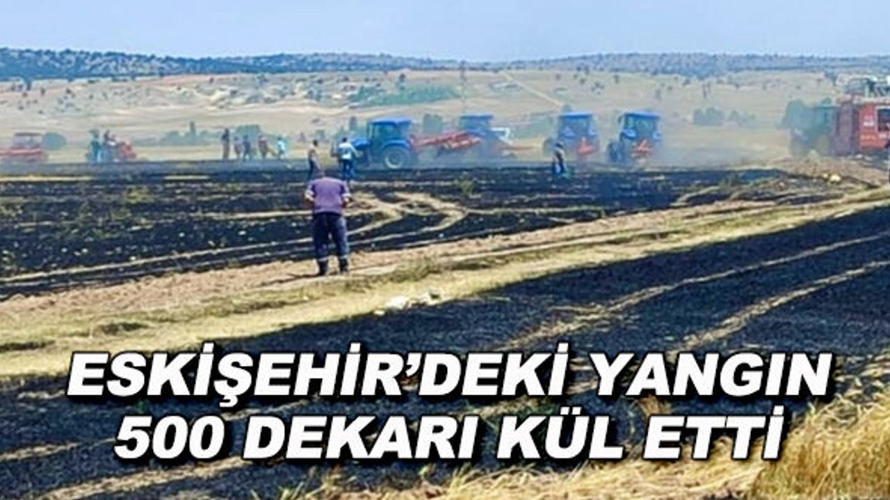 Eskişehir'deki yangın 500 dekarı kül etti